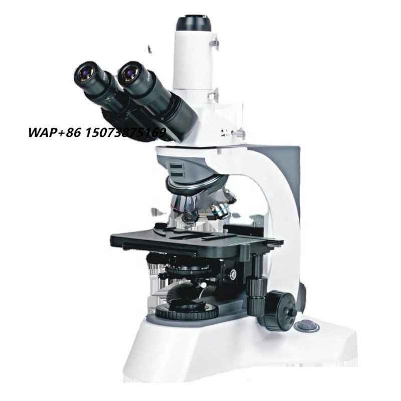 Polarizing Microscope Binocular - 光学ステレオスコープ宝石学冶金偏光測定デジタル倒立蛍光双眼生物顕微鏡