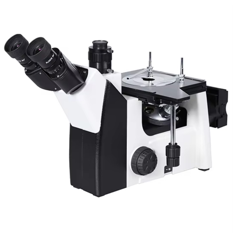 Metallurgical Microscope Inverted - BestScope BS-6004 反転型冶金顕微鏡（プラン対物レンズ付き）半導体ウェーハの金属組織分析用