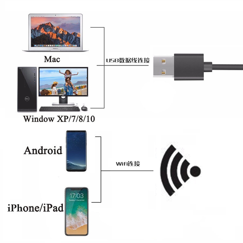 2in1 WiFi デジタル 1000x USB 顕微鏡 8 - Usb Microscope 1000X Digital のレビューと価格